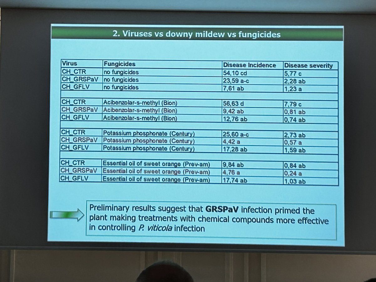 GianfRomanazzi's tweet photo. Giorgio #Gambino reports a lower incidence of #grapevine #downy and #powdery #mildew in plants infected with #GFLV, and in plants infected by #GRSPaV treated with #resistance #inducers at #ICVG2023 https://t.co/nYrupCJvEc