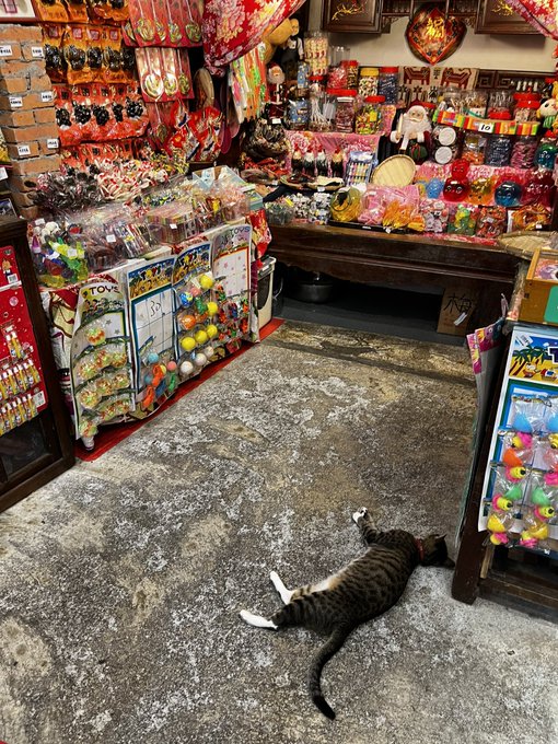 Watch 聖ひばり's leaked NSFW photo on TwXstars