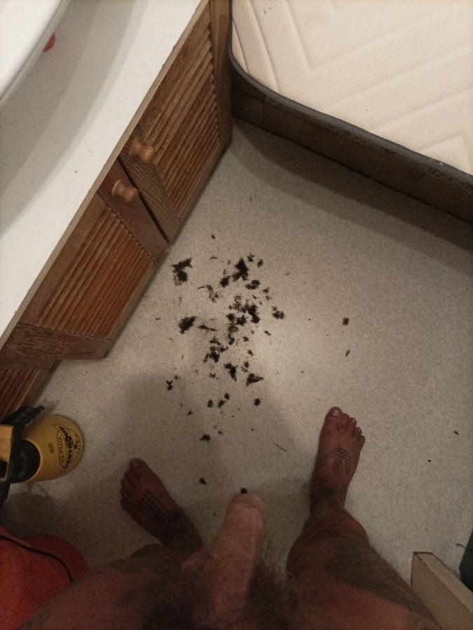 mouly03's tweet photo. J'ai du désépaissir  un peu mes cheveux pubiens. https://t.co/ByWVA048Nn