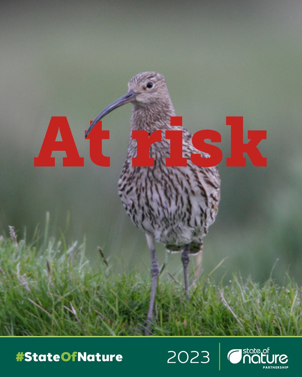 Wales’ wildlife has fallen on average by 20% since 1994.

However this is on top of centuries of biodiversity loss driven by human-activity &amp; Wales is now one of the most nature depleted countries in the world.

Read more in the #StateOfNature Report bit.ly/stateofnature23