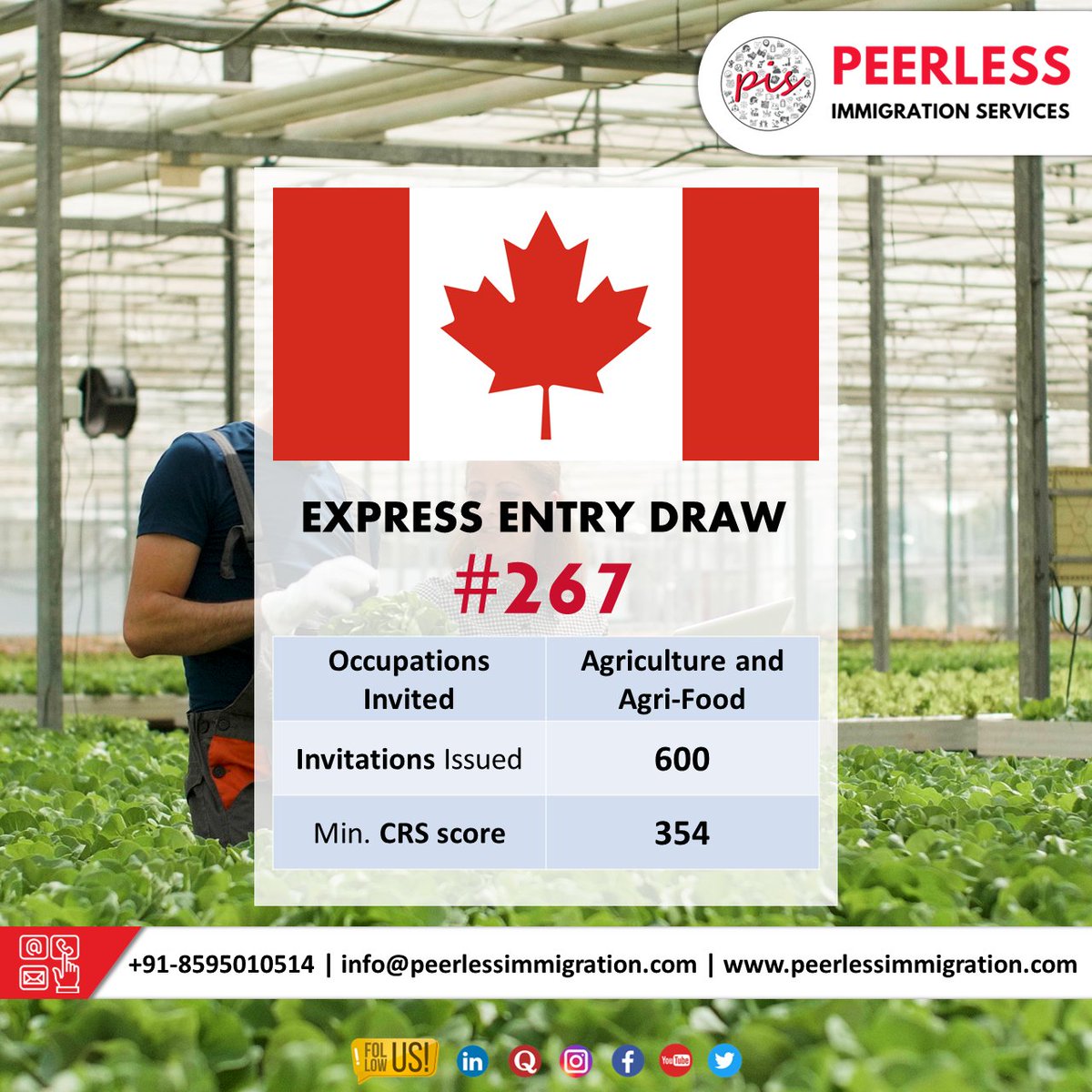 peerlessimmi's tweet image. 🍁 Canada Update: Express Entry Draw #267

On September 28, 2023, 🇨🇦 Canada 🎯 #invited600people to apply for occupations in agriculture and food through the ✈️ #ExpressEntryProgram 

Read more 🌐 peerlessimmigration.com/canada-invites…

✅ ☎️ +91-8595010514
✅ ✉ info@peerlessimmigration.com
✅…