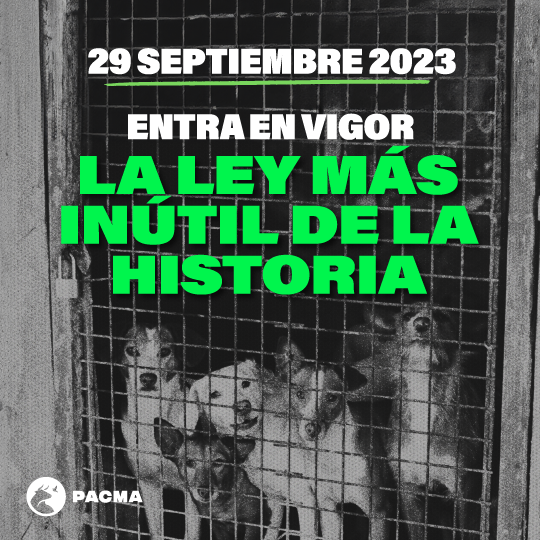 Foto cedida por PACMA