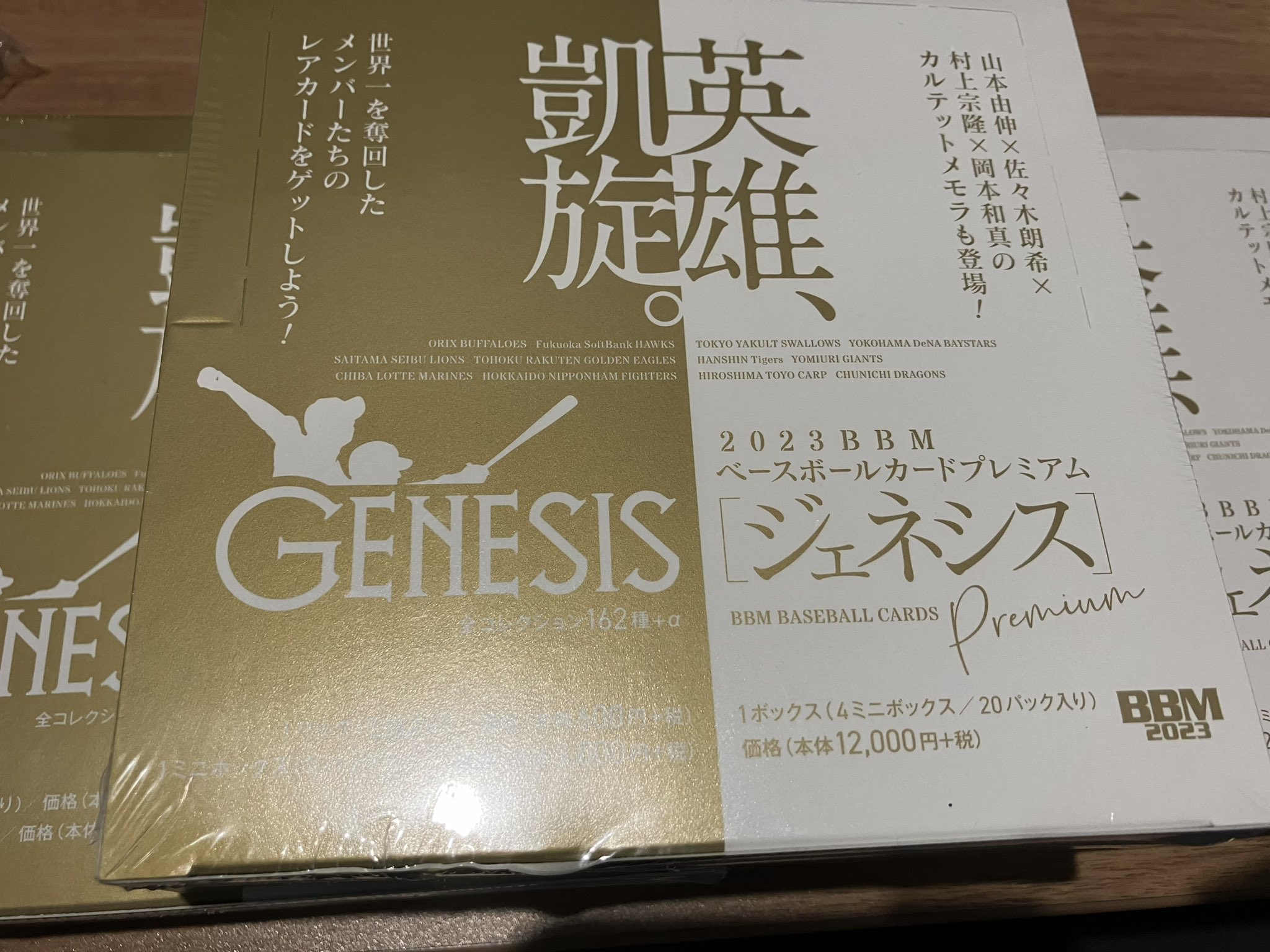 1ボックス シュリンク付 未開封 BBM 2023 GENESIS ジェネシス