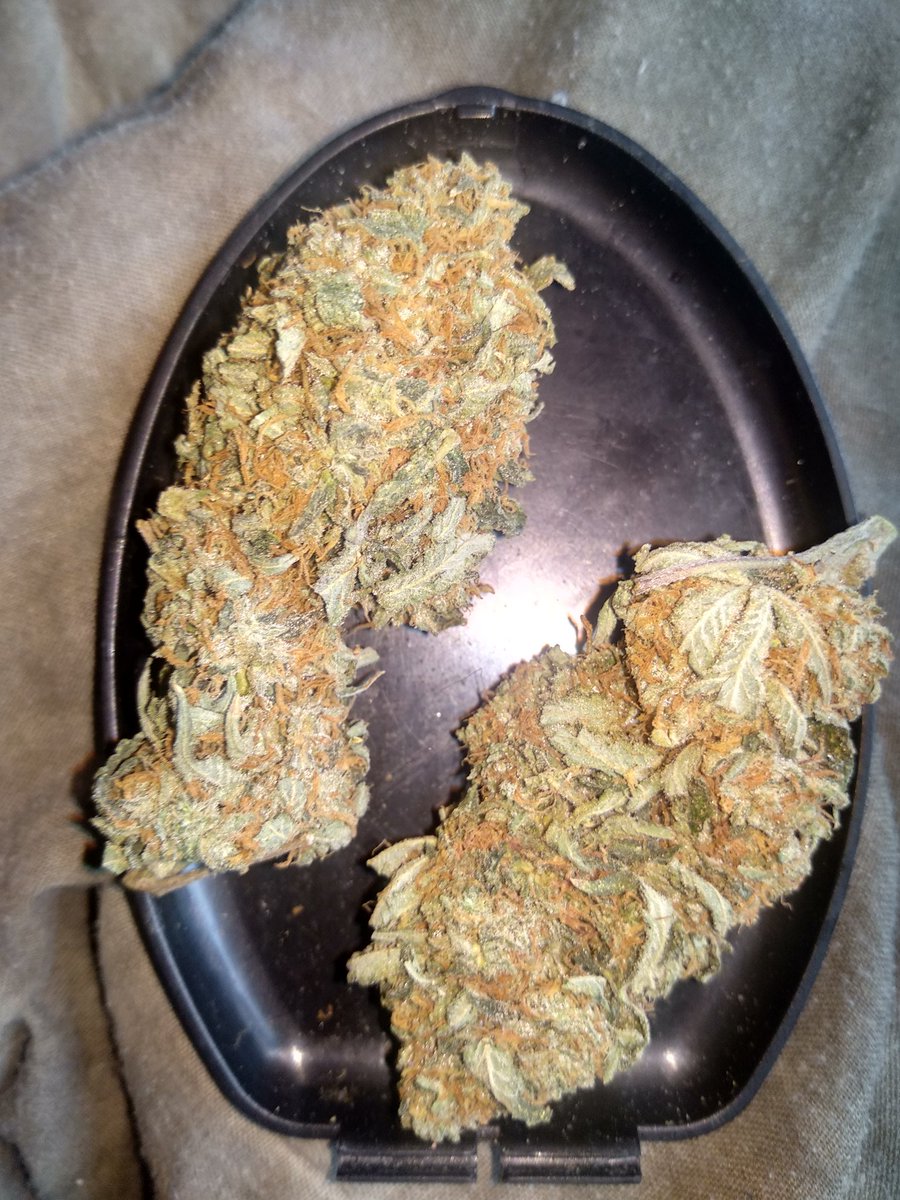 TehScots420's tweet photo. We must keep physical cash!! 
It has great value, and keeps us independent from Digital currency. You can gift it, and maintain some privacy.

We also need a cultural renniesance around cannabis, the two fit together like a glove, we should still be able to pay taxes In hemp! https://t.co/A7AVKAR08F