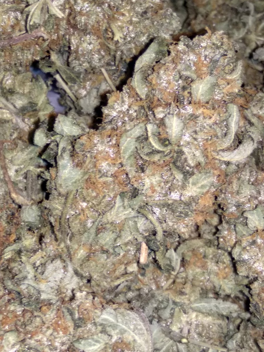 TehScots420's tweet photo. We must keep physical cash!! 
It has great value, and keeps us independent from Digital currency. You can gift it, and maintain some privacy.

We also need a cultural renniesance around cannabis, the two fit together like a glove, we should still be able to pay taxes In hemp! https://t.co/A7AVKAR08F