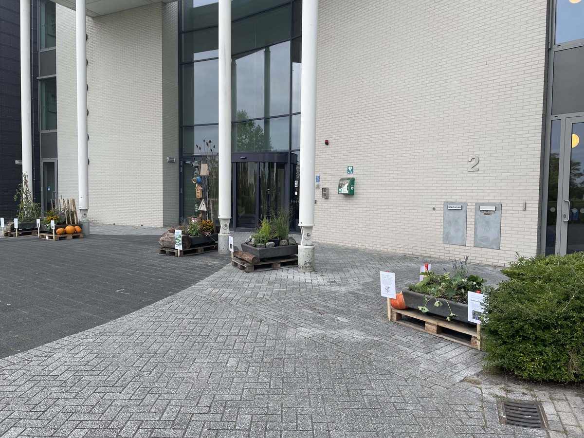 Gemeente Tholen tweet media