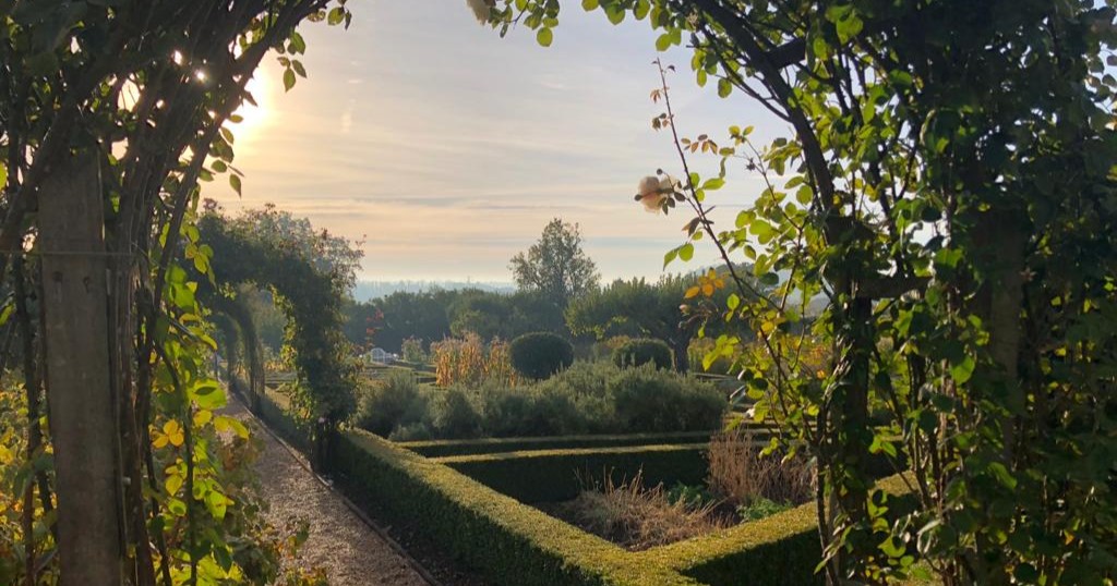 Mallory Court tweet media