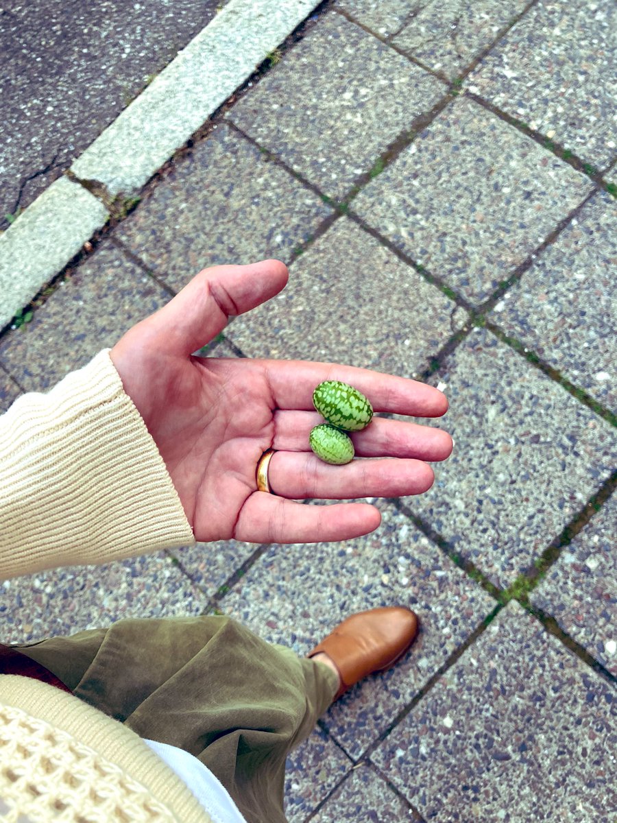 Johanna Sprondel tweet media