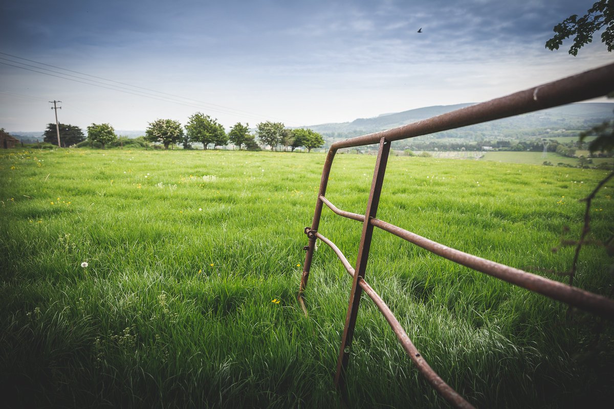 HellfireStudio's tweet photo. Some views around Hellfire studio, situated on a working farm, the perfect surroundings for relaxation and inspiration!

#farm #farming #farmlife #countyside #views #ireland #musicstudıo #recordingartist #musicproducer #producer #studiolife #singer #sound #recording #artist https://t.co/WnB5vZZGmT