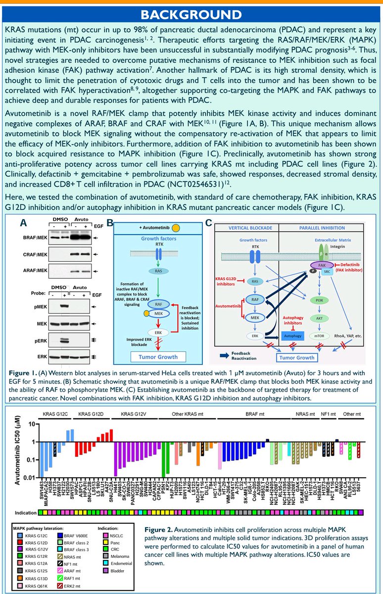 CrozrX's tweet photo. The RAF/MEK clamp avutometinib as the backbone of therapy for pancreatic cancer: Novel combinations with standard of care chemotherapy, FAK inhibitors, KRAS G12D inhibitors and/or autophagy inhibitors.
#AACRPan23 https://t.co/Qo6fwc34F3