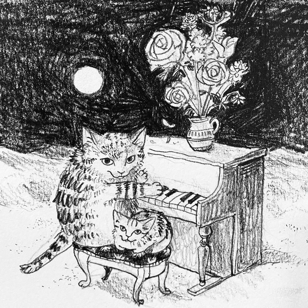 Sand cat’s piano concert