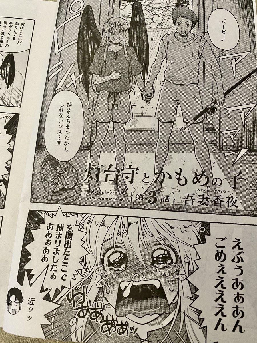 本日発売のイァハーツ11月号に #灯台守とかもめの子 3話目掲載中
よろしくお願い致します🙇♀️
見本誌と一緒にお手紙も届きました、ありがとうございます😭手作りアルバム😭