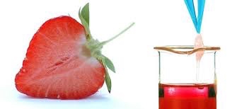 ChiltonPrimary's tweet image. An exciting day for our UKS2 children as they learn how to extract DNA from strawberries thanks to volunteers from Vertex Pharmaceuticals.