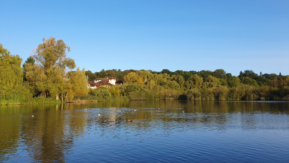 Seriously, no filter #TheMoor #Knutsford