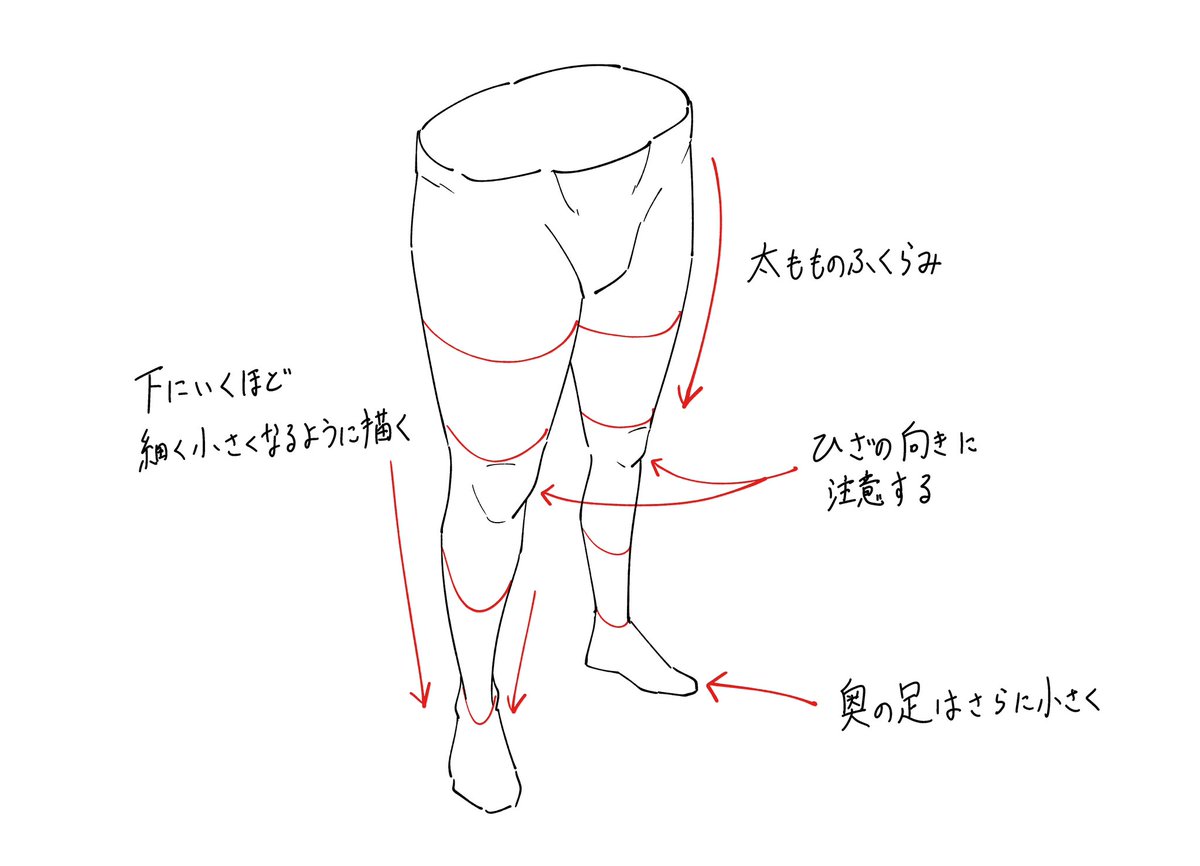 いろんな方向から見た脚のメモまとめです。 