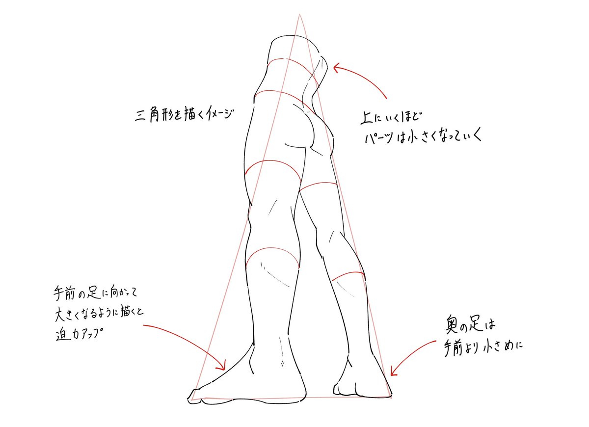 いろんな方向から見た脚のメモまとめです。 