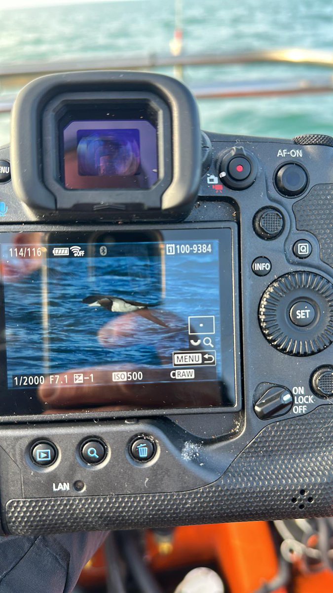 Mike Langman tweet media