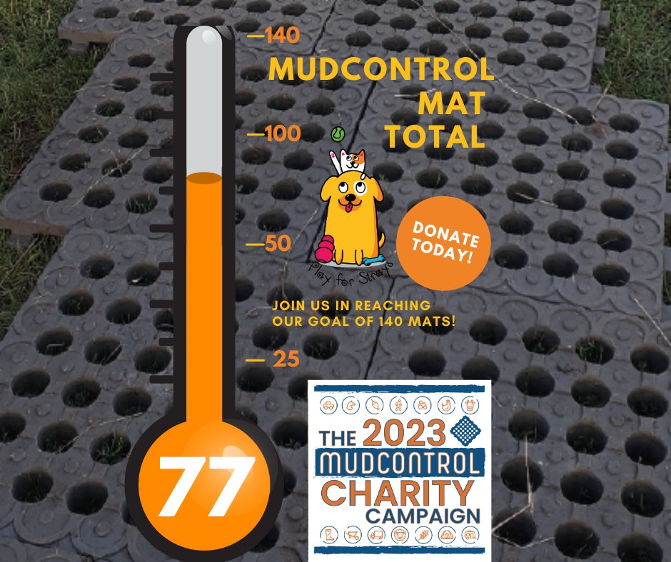 PlayforStrays tweet media