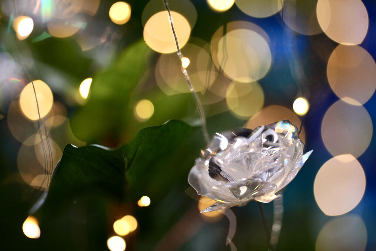 不思議なオブジェ 空白寺 on X