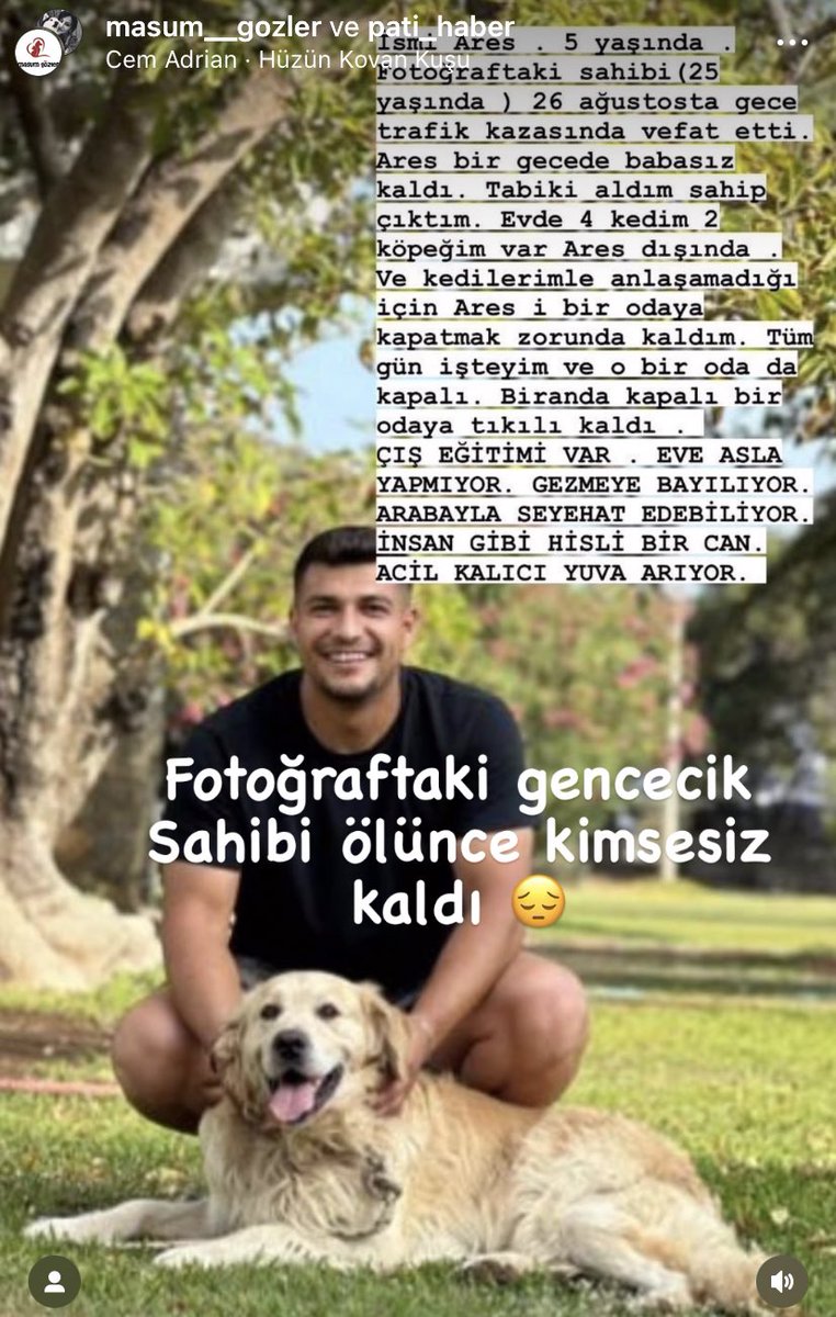 AsliBilicii's tweet photo. Bombok hissettim görünce. Şu hayvana yuva olacak biri yok mu burada? https://t.co/yLfaK37X4P