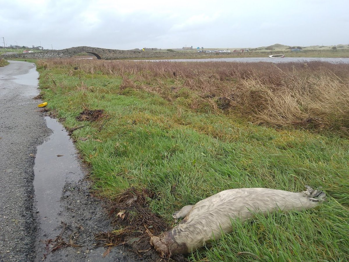 Alec Moore tweet media