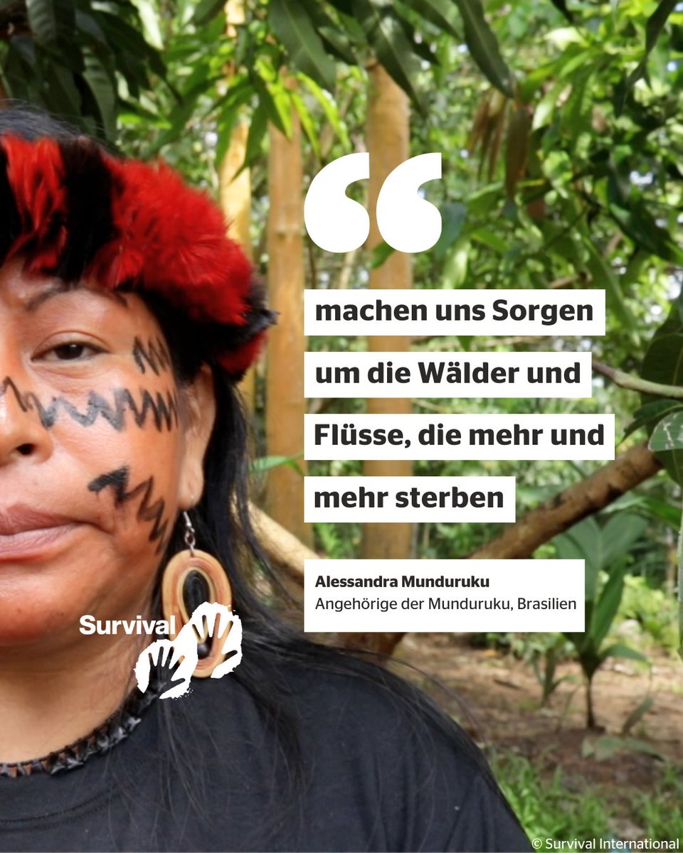 SurvivalDeutsch's tweet photo. #Brasilien: Am Mittwoch ignorierte der Senat die Verfassung, die Rechte der Indigenen, den Obersten Gerichtshof und die Zukunft des Planeten, indem er das völkermörderische Gesetz PL2903 (ehemals #PL490) verabschiedete.
👇🧵
1/x https://t.co/WfzlUzKEEJ