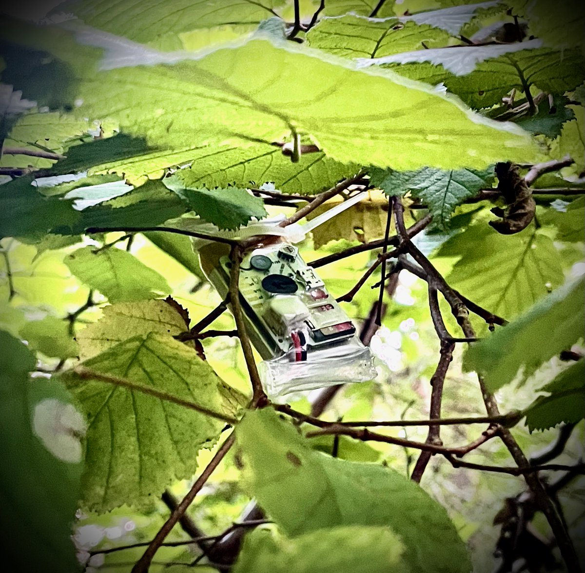 OpenAcoustics's tweet photo. The #MicroMoth campaign close date has been pushed to the end of the day @groupgetscom so there's still time to back it if you join today! Now closing Friday, 29 Sep 2023 17:00:00 PDT https://t.co/sPfN1qR4vx https://t.co/LRRulHsjhO