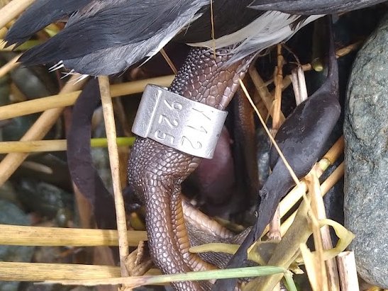 Alec Moore tweet media