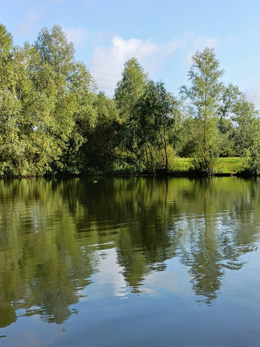 alan ridealgh tweet media