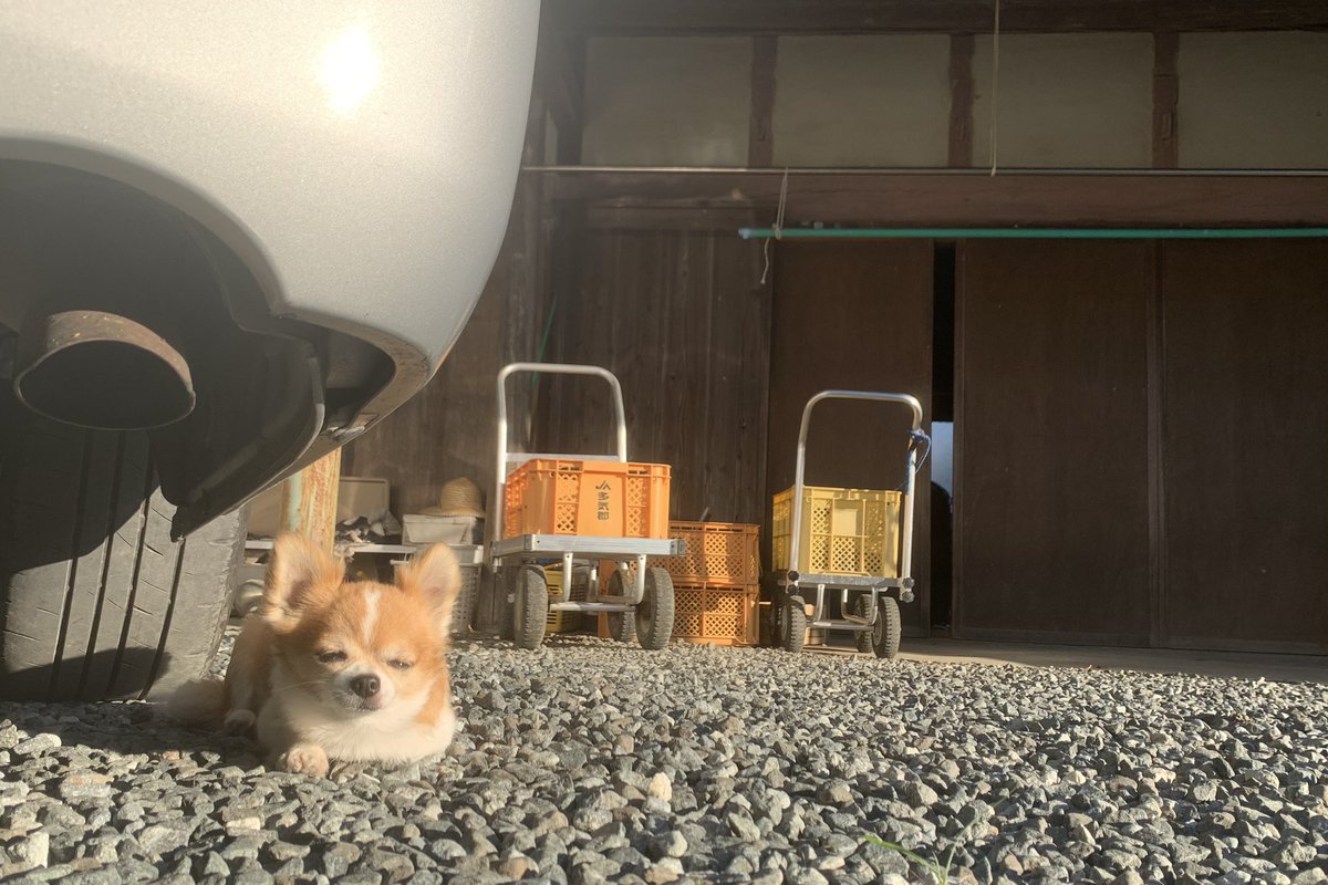 (32) (@chiwarwar) on Twitter photo 