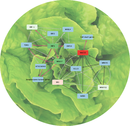 Katherine Denby (@katherine_denby) on Twitter photo Cant wait to do this project with @nicolabiologist & <a href="/LichmanLab/">Lichman Lab</a> - if you are looking for a PhD in plant immunity/gene regulation/synthetic biology then this is for you! Fully-funded 4 year PhD <a href="/BiologyatYork/">Biology at York</a> with @BBSRCWhiteRose deadline Jan 7th 2024
tinyurl.com/2vc2jw3r Cant wait to do this project with @nicolabiologist & <a href="/LichmanLab/">Lichman Lab</a> - if you are looking for a PhD in plant immunity/gene regulation/synthetic biology then this is for you! Fully-funded 4 year PhD <a href="/BiologyatYork/">Biology at York</a> with @BBSRCWhiteRose deadline Jan 7th 2024
tinyurl.com/2vc2jw3r
