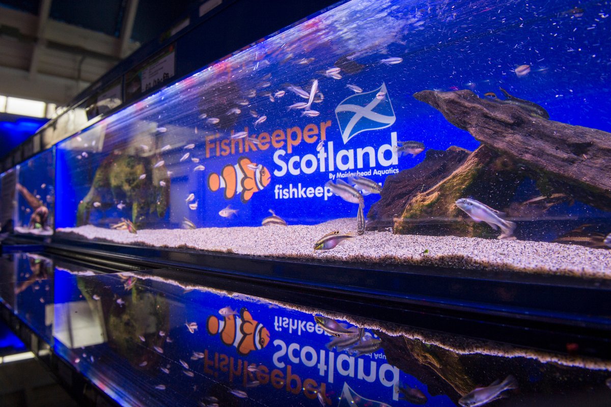 If you like what we do please support our hard working store teams by voting for your local Fishkeeper Scotland store in this year's Practical Fishkeeping Magazine Reader's Poll before entries close on Sunday!
mail.practicalfishkeeping.co.uk/p/73DK-A7N/rea…
We really appreciate your kind support 🐠