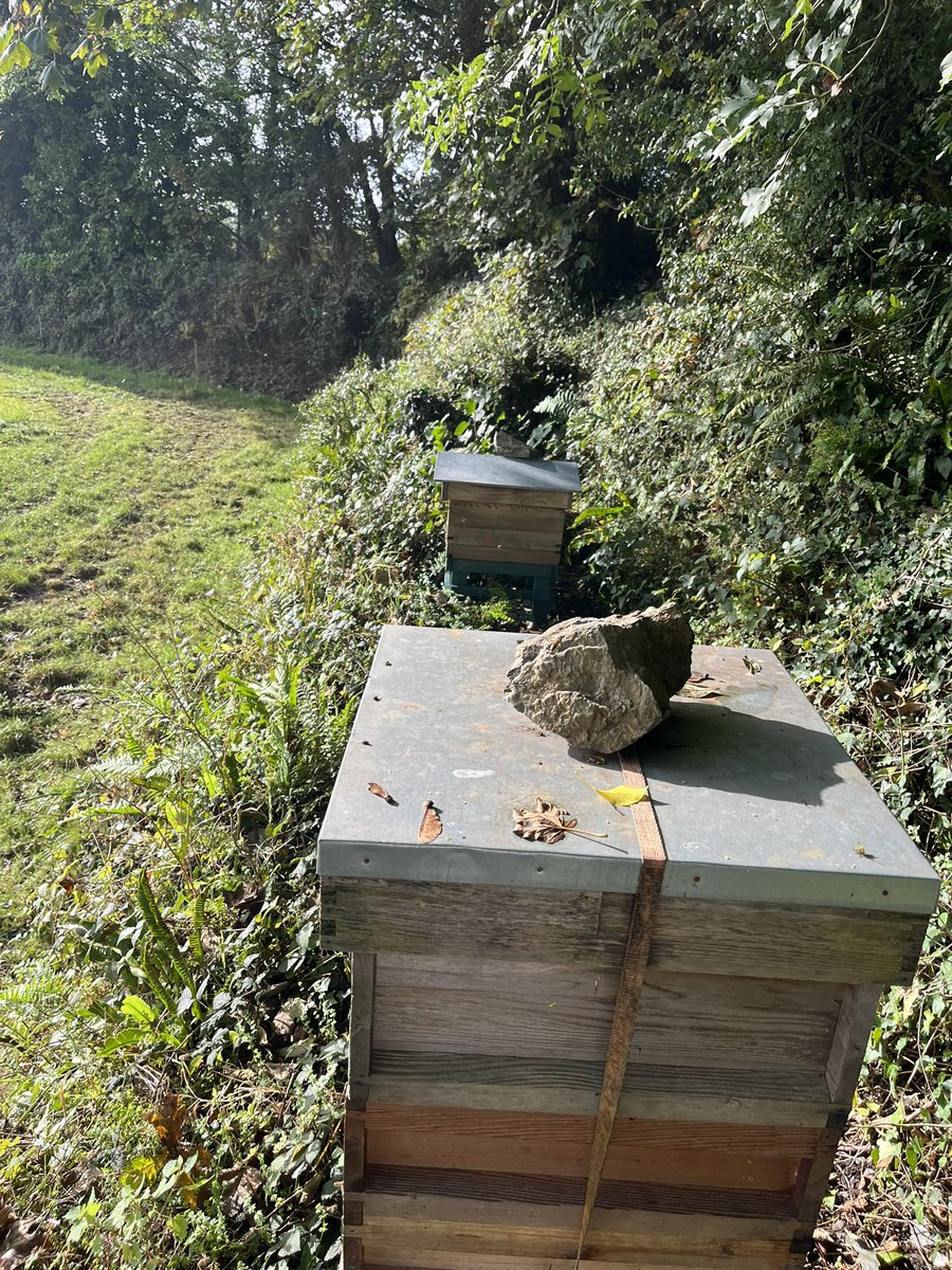Ladies settled down for the winter