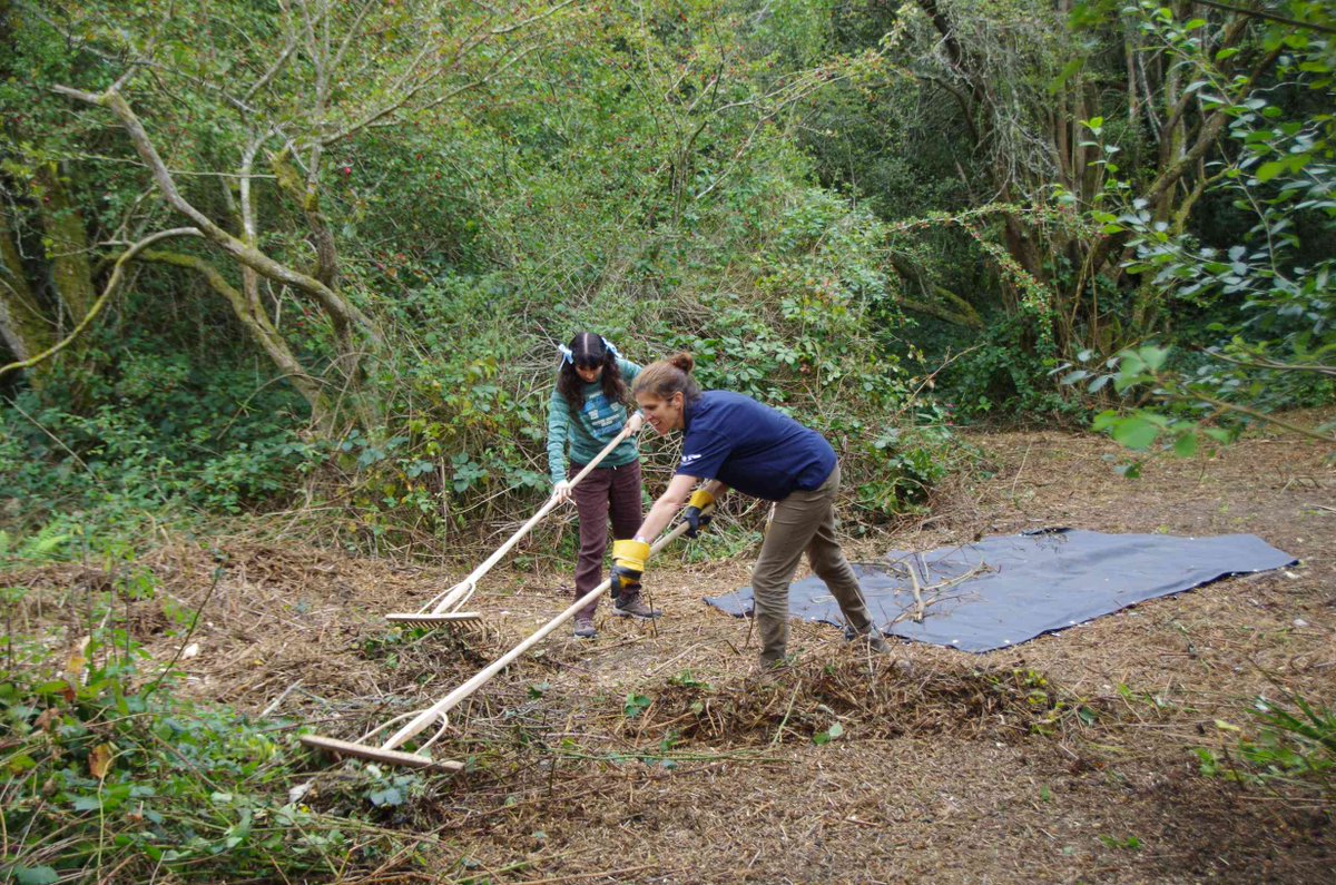 HarrowNCF's tweet photo. Volunteers from the #SilkStream project run by @Thames21 worked @ Bentley Priory yesterday clearing a route through to the upper spring (one of the sources of the River Brent) and raked material previously cut by tractor to allow grass and wildflower growth - thanks everyone! SRB https://t.co/pmhkrclW1I