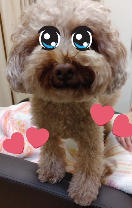 Twitterのコスプレ画像33