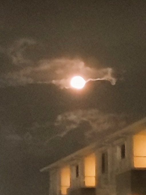 Twitterのコスプレ画像35