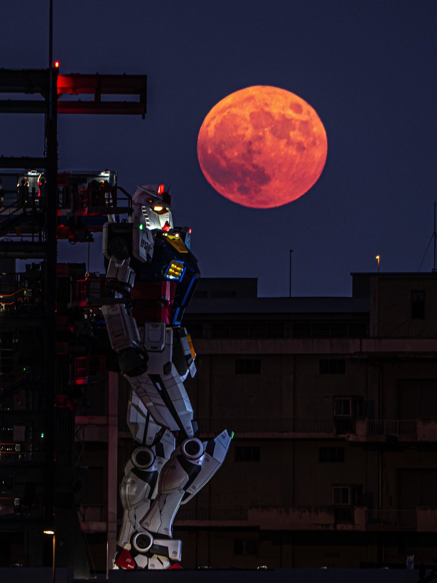 yoshi115t's tweet photo. GUNDAM FACTORY YOKOHAMA
今夜は『中秋の名月』
昇り始めた月は 普段よりも赤く輝いていました。

直前まで地平線の付近には薄雲が停滞していました。それが太陽光を普段より多く遮り、この様な赤い月になったのではないかと。
#GFY #横浜 #実物大ガンダム #動くガンダム #中秋の名月 https://t.co/G9A62xGot3