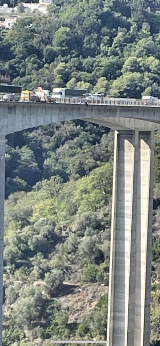 La salade Nicoise ⚽️ tweet media