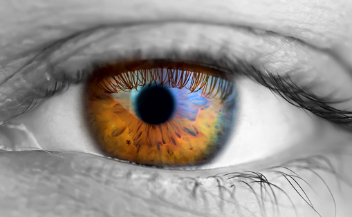 touchOPHTHALMIC's tweet photo. Pharmacologic Mydriasis and Cycloplegia
Explore Novel Delivery Devices with our top experts - https://t.co/OKIvvixwjv
#Mydriasis #Cycloplegia #DeliveryDevices #Microdrops #PupillaryDilation #Dilation https://t.co/aNKfzyDr32