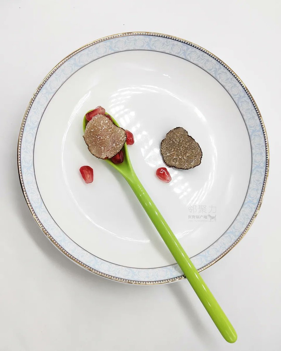 chinesetruffles's tweet photo. Autumn truffles/Uncinatum truffles/Burgundy truffles found in the midst of Middle Autumn

#shanghaifoodie #shanghaifood #shanghaieats #shanghairestaurant #shanghaiexpat #shanghaichef #freshtruffle #beijingfoodie #beijingchef #beijingrestaurant #shenzhenfoodie #shenzhenfood https://t.co/6XXMEB3iqv