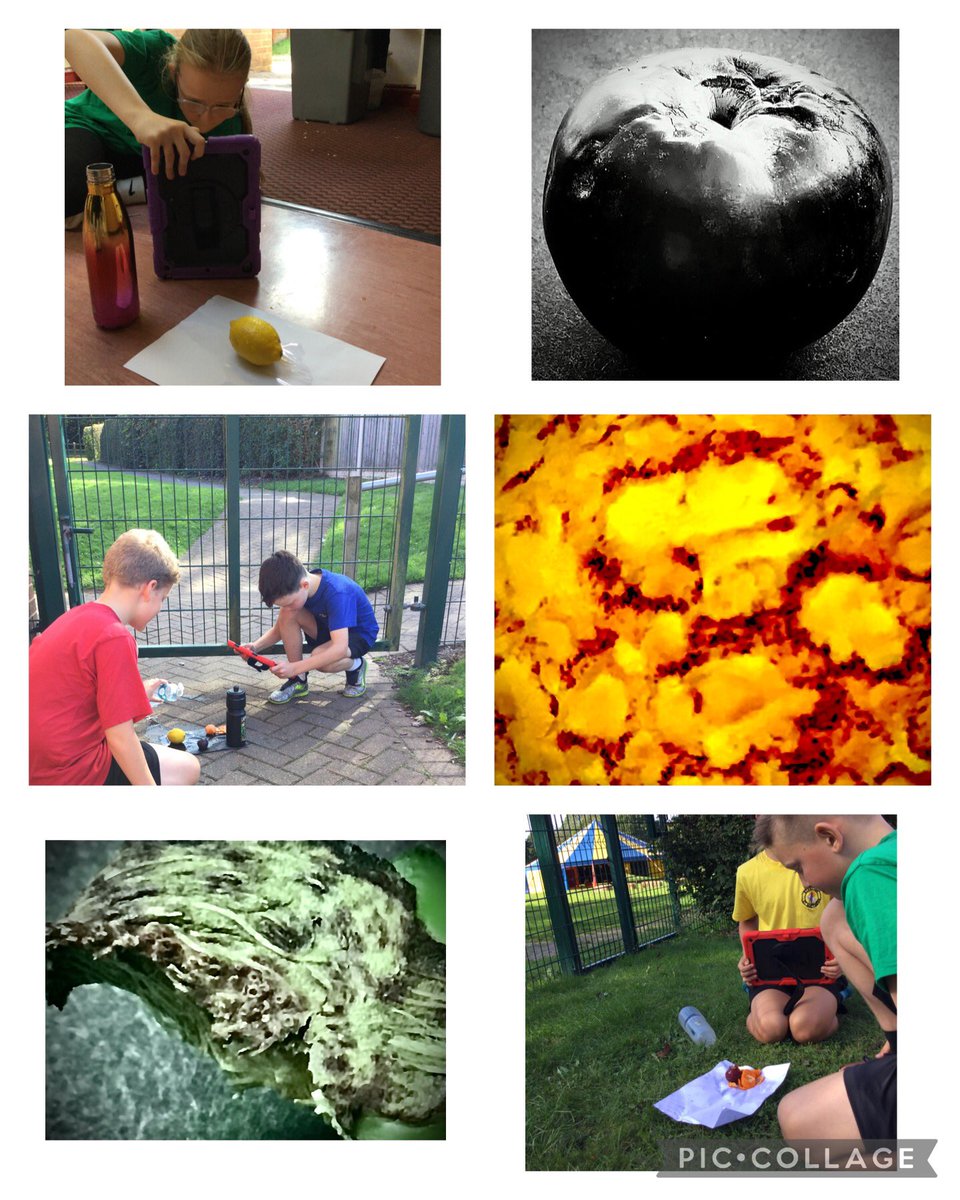 StrettonStMatts's tweet photo. Year 6 loved experimenting with macro photography and editing today and the results were fantastic! #SSM #SSMart #SSMyear6 https://t.co/eH1ZFMF7ml