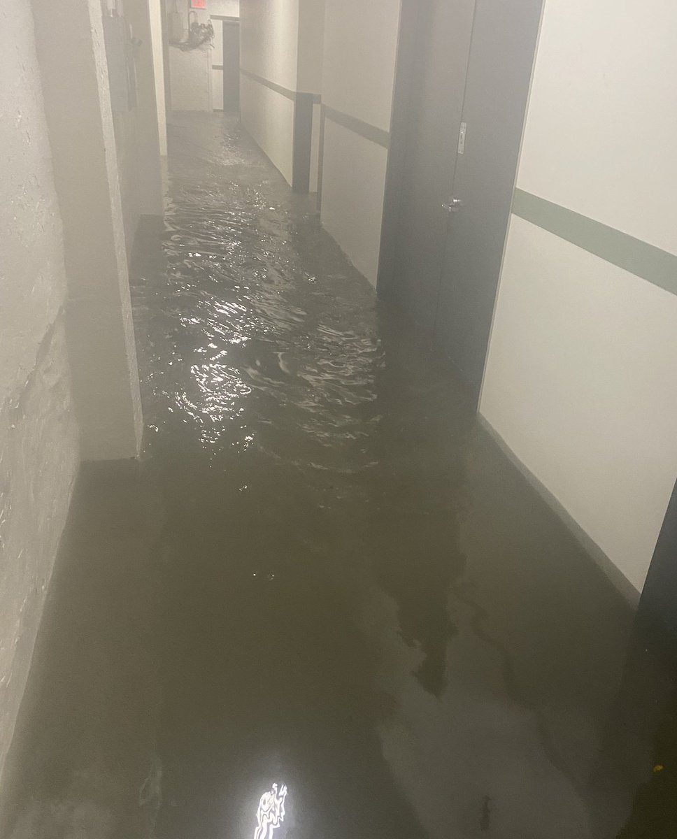 My office in Gowanus this morning.