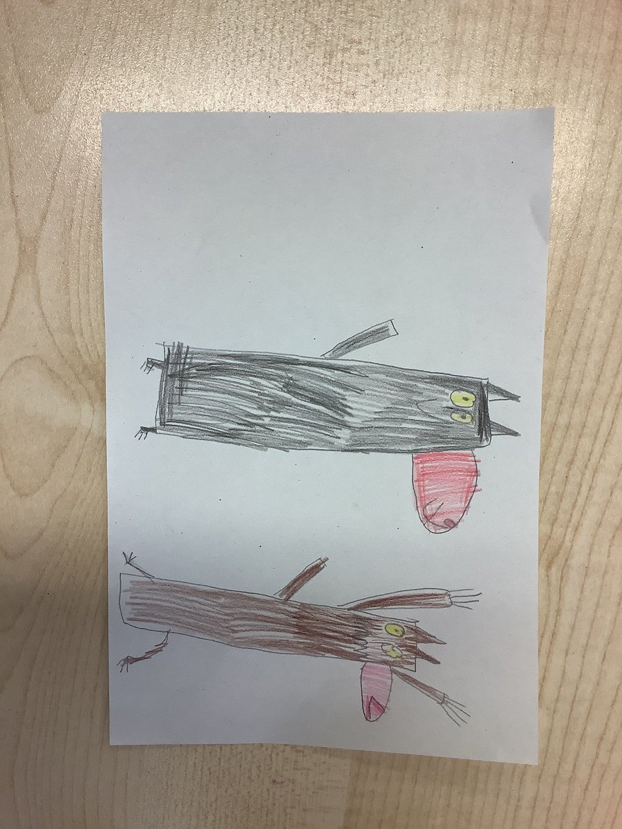 StPhilipsY2C's tweet photo. Today we read ‘Wolves’ by Emily Gravett to launch our next English topic. They children generated adjectives  to describe wolves and then learned to draw a picture of a wolf. @StPhilipCEAP #teamstphilips https://t.co/yo9ZWsIQWd