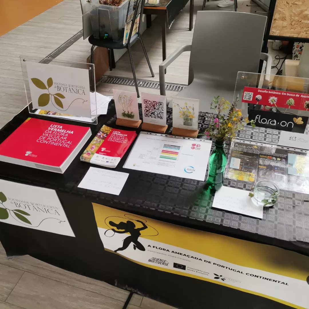 SpbotanicaL's tweet photo. Já cá estamos!!!🌿

#NEI #nei2023 #NEICoimbra 
#ern2023 #EuropeanResearchersNight 

#floraameacada 
#listavermelhadafloravasculardeportugalcontinental
#FloradePortugal
#FloraOn

#SPBotanica
@noiteeuropeiadosinvestigadores 
🦸🦸‍♀️🦸‍♂️ https://t.co/FpjGovVvJa