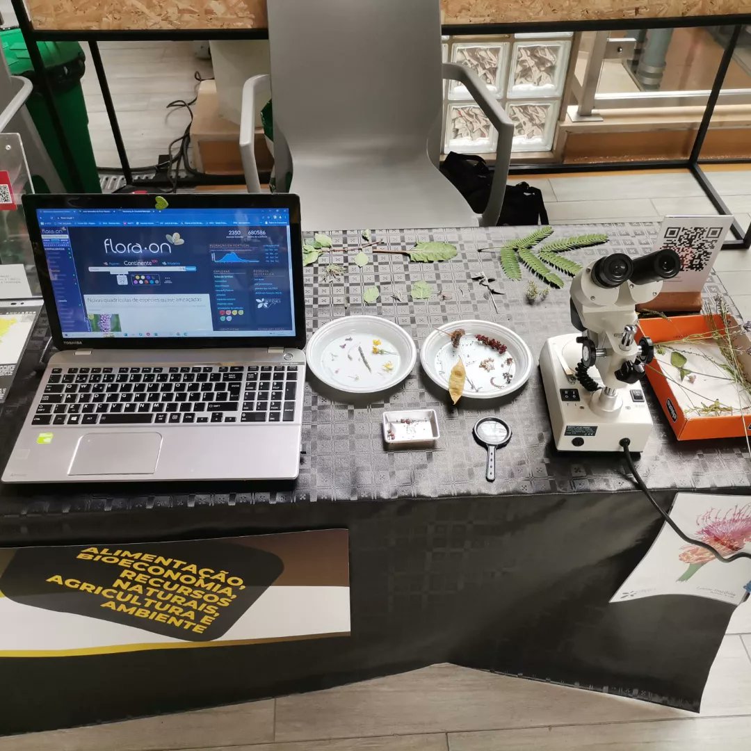 SpbotanicaL's tweet photo. Já cá estamos!!!🌿

#NEI #nei2023 #NEICoimbra 
#ern2023 #EuropeanResearchersNight 

#floraameacada 
#listavermelhadafloravasculardeportugalcontinental
#FloradePortugal
#FloraOn

#SPBotanica
@noiteeuropeiadosinvestigadores 
🦸🦸‍♀️🦸‍♂️ https://t.co/FpjGovVvJa