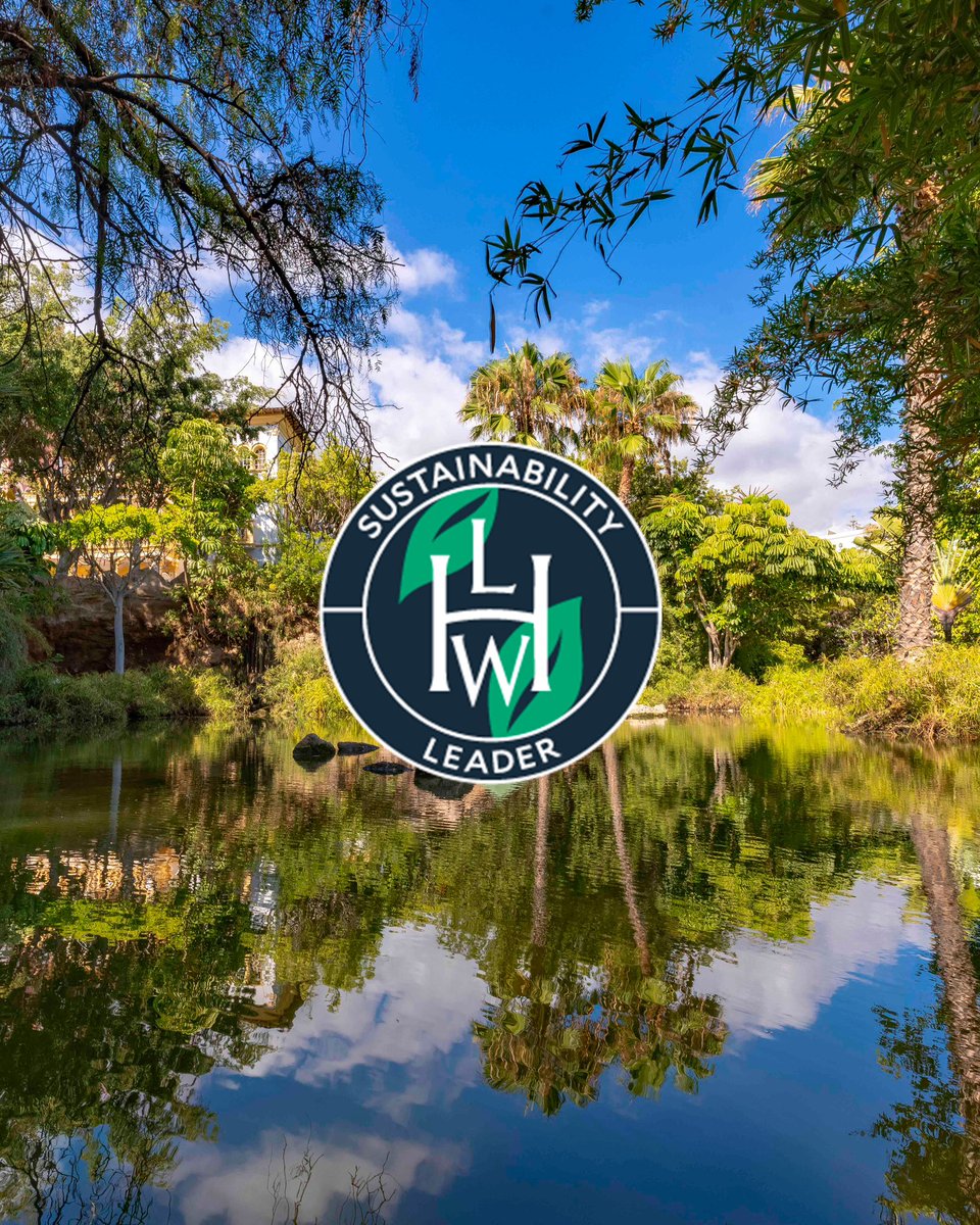 Bahía del Duque tweet media