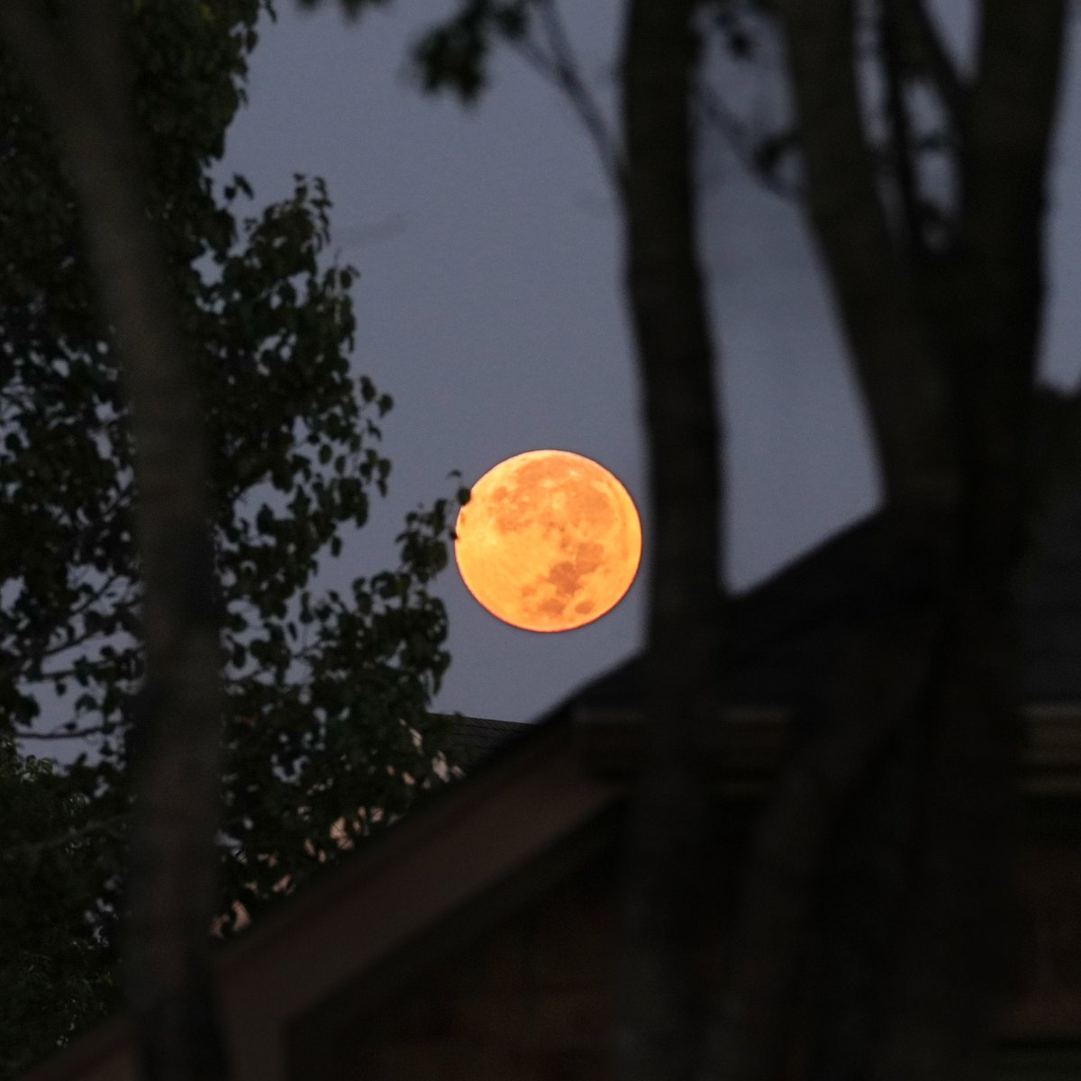 The perfect way to start my 🚴‍♀️ day - watching the full harvest moon give way to the beautiful colors of sunrise! What a fantastic display of nature's perfect illumination. #moon #deaf #photograghy #cycling