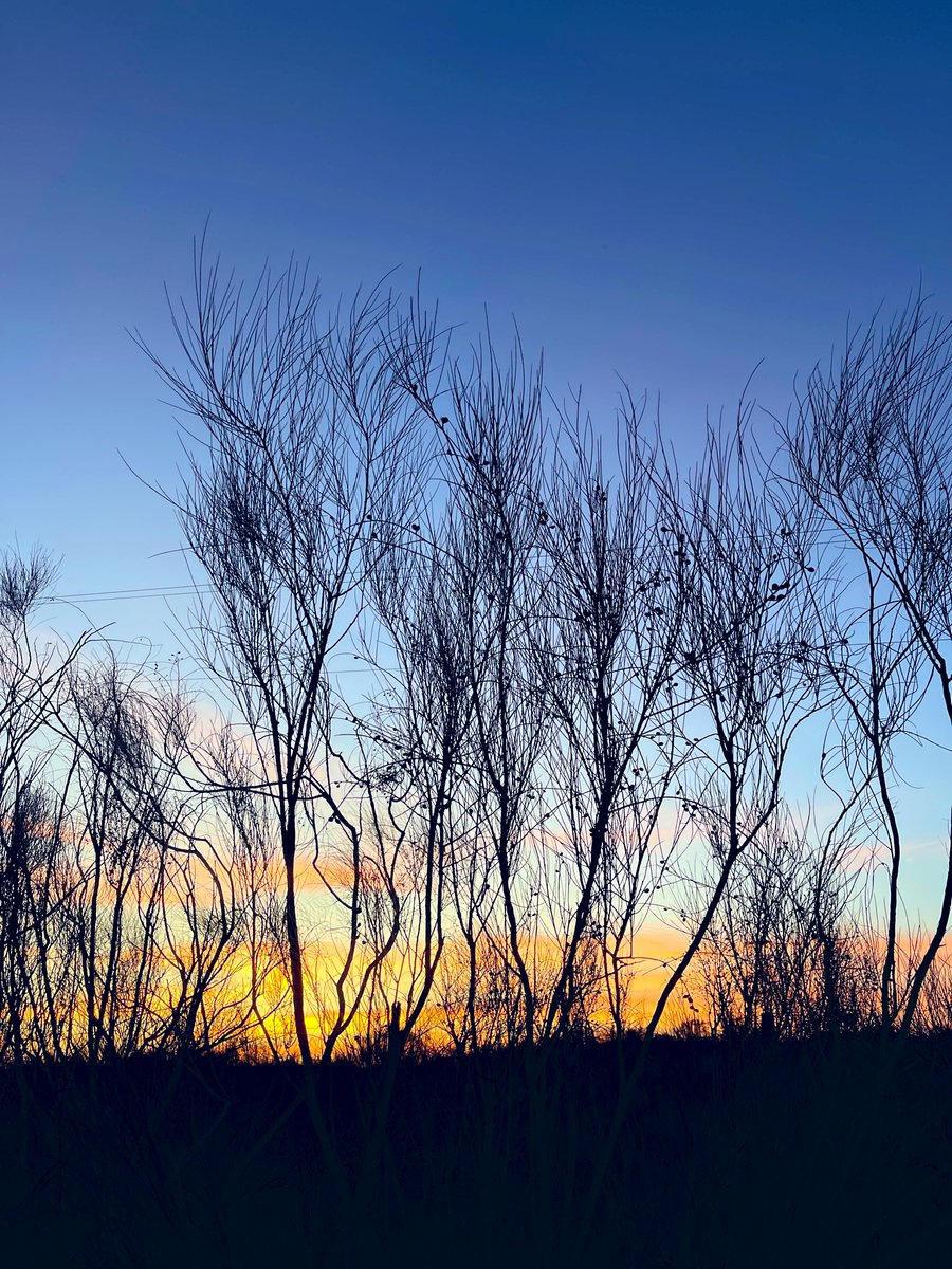 LyfInTransit's tweet photo. The other side of working on the go in Spain😊 
The sun sets late here, so I can finish my day’s work in peace and still have enough time left to walk ~2 miles for an evening like this. 

#workation during #30daysofSpain supporting my travel, as always. https://t.co/a0a7nVhypN