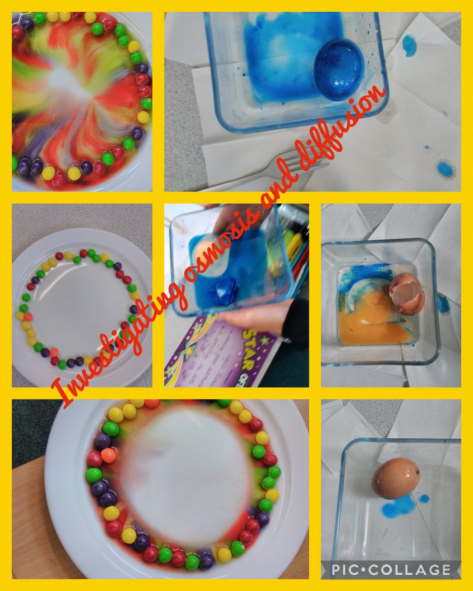 QuayAcademy's tweet photo. Year 5 have been investigating osmosis and diffusion.
@DRETnews @QuayVP @QuayPrincipal @ogdentrust @GreatSciShare @My_ScienceClub #dretscience #handsoninvestigation https://t.co/AYxAh9KcOp