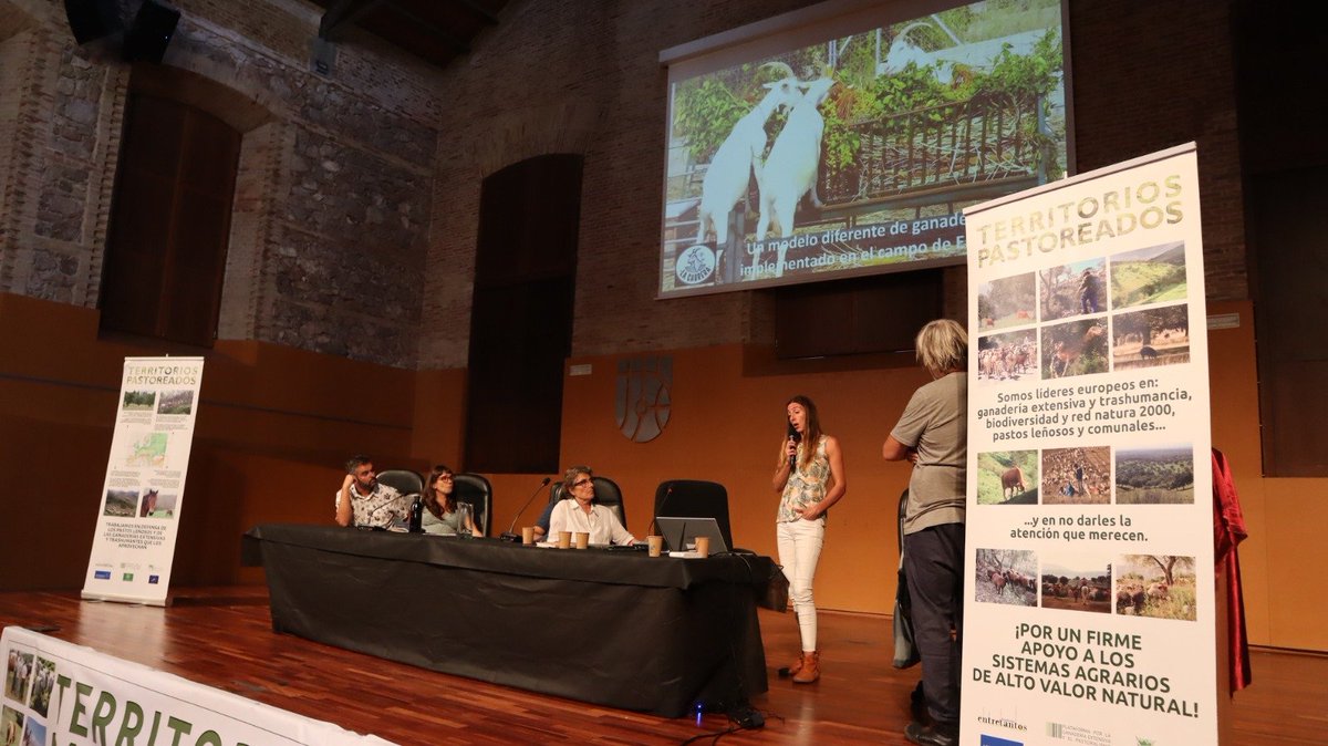 entre_tantos's tweet photo. Rumiando experiencias llegamos a la sexta mesa de #TerritoriosPastoreados 6
¡Gracias por seguir participando y compartiendo!
@Opem52341569 @PorOtraPAC @navarro_alb @GanaderasenRed @ganad_extensiva @cooprado @AgroecoMcpios #interovic #TerraMaronesa #TP6 https://t.co/kFkvuYy3Ys